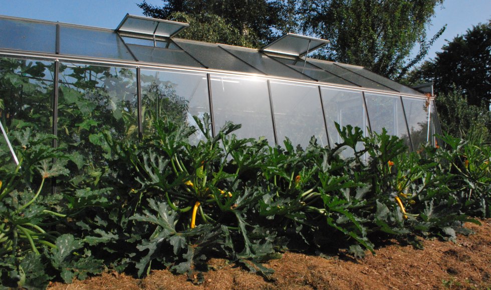 Ecotuin Anton en Lieve Buytaert-Feys