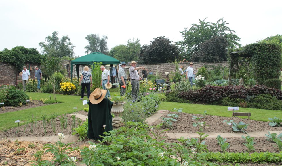 De Kwallef van Vliek