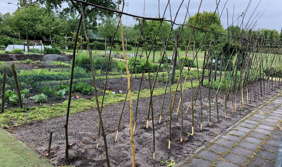 Ontmoetingstuin Servaes