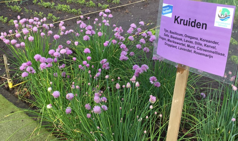 Ontmoetingstuin Servaes