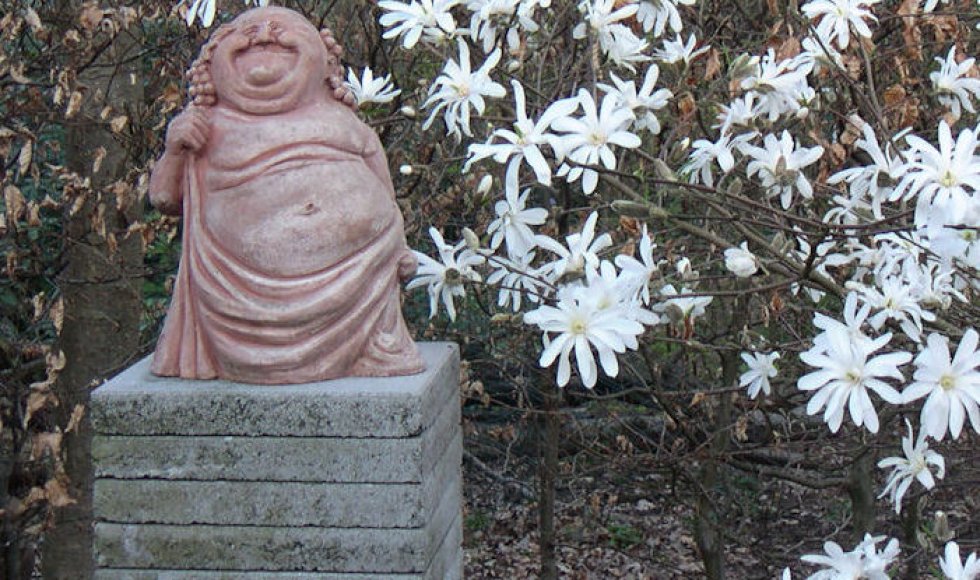 Tuin van de familie Duerinck