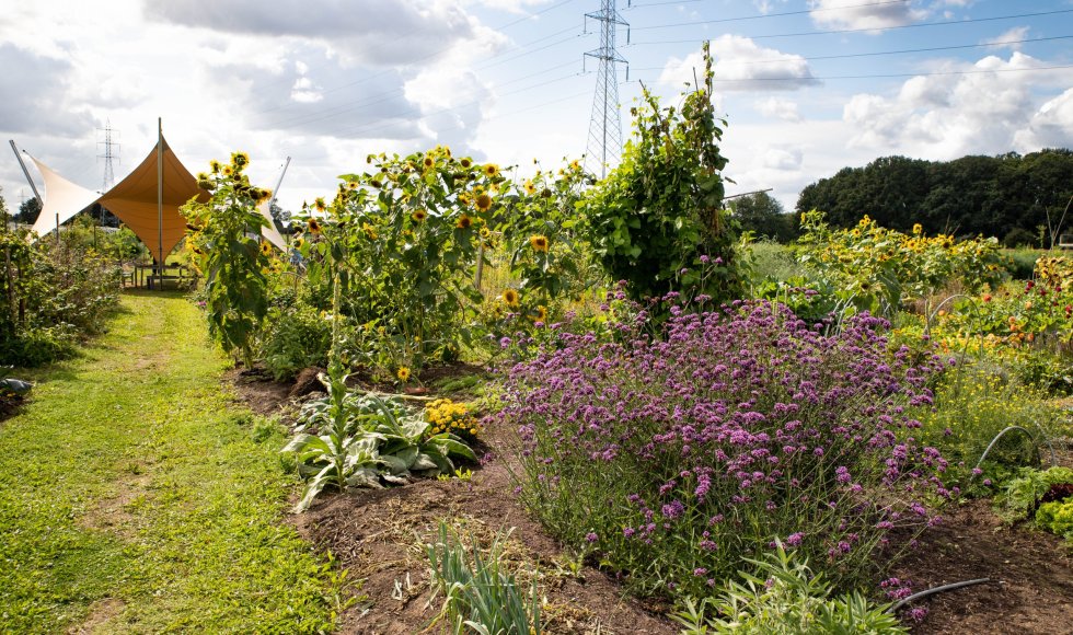 Samentuin Schootsveld