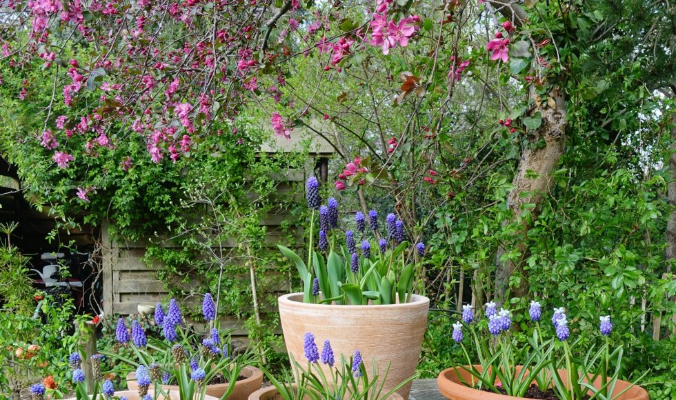 Muggenbeet - fam Rutten- Testelmans