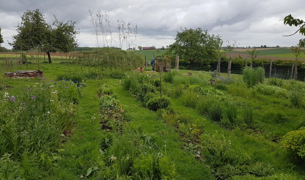 Ecotuin van vzw Waaranders