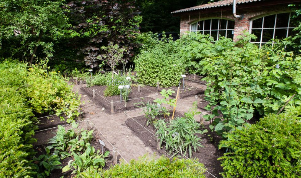 Dodoenstuin kruidentuin