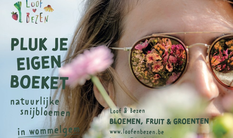 Loof en Bezen zelfoogstboerderij