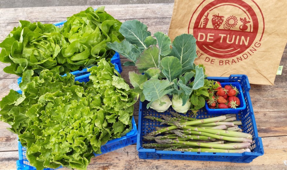 De Tuin naast de Branding