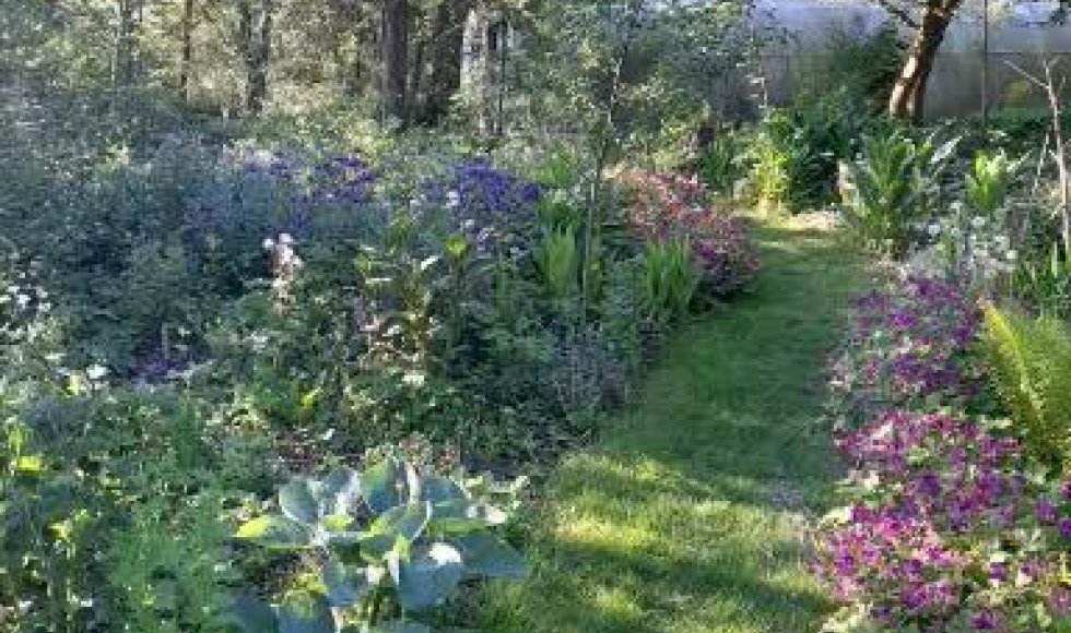 Natuurtuin Nuchter Tzum