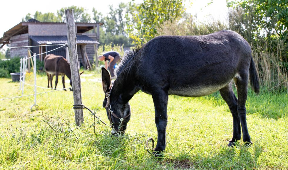 Samentuin Schootsveld