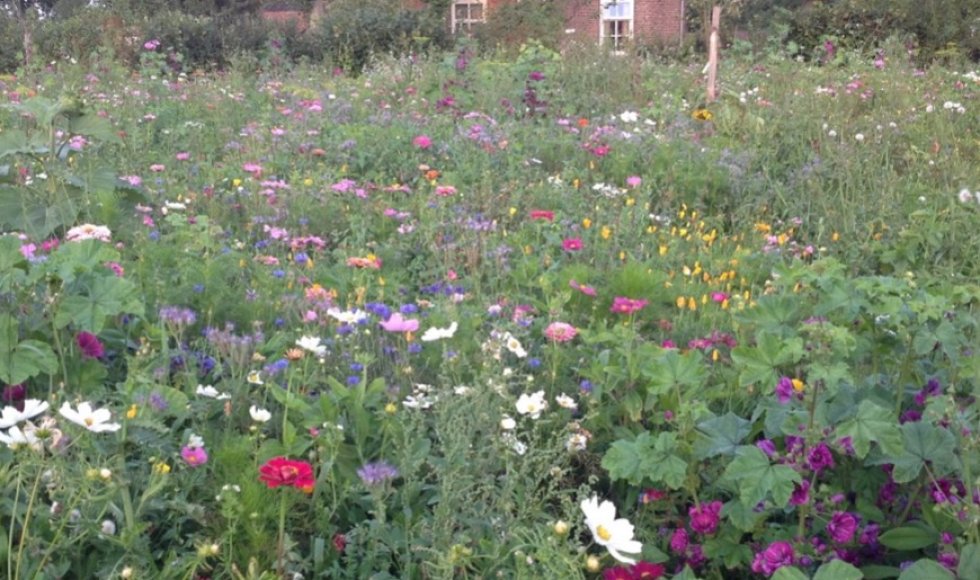 Boerderij de Notelaar