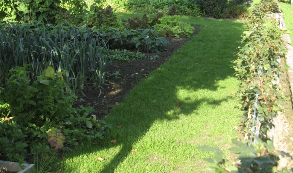 De Kwallef van Vliek