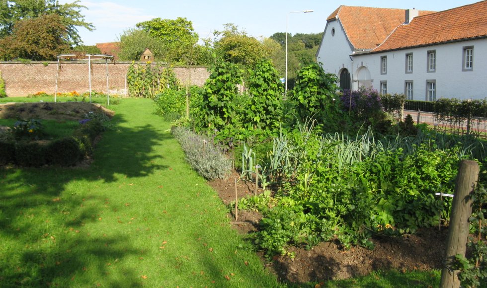 De Kwallef van Vliek