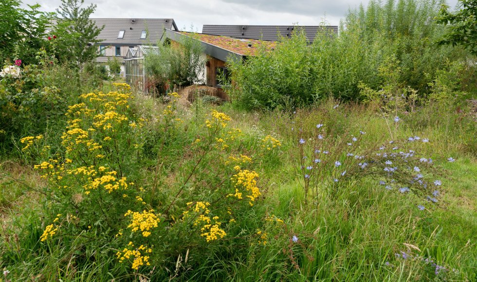 Mandetuin ecowijk Mandora