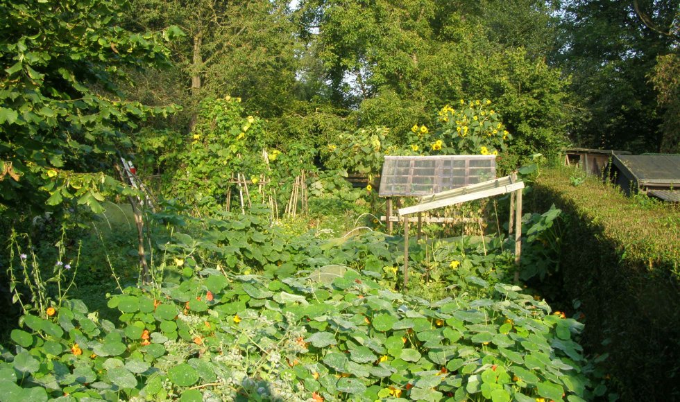 Kringlooptuin, ecotoilet en waterinfiltratie