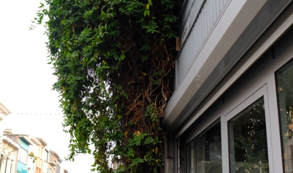 Geveltuinroute Oud-Berchem