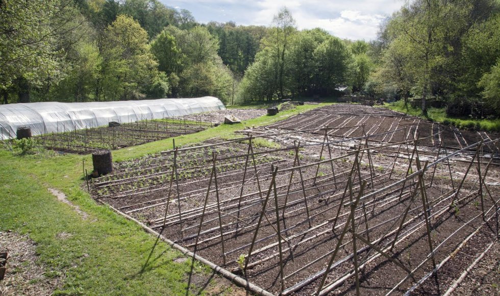 La ferme du Bois-le-Comte