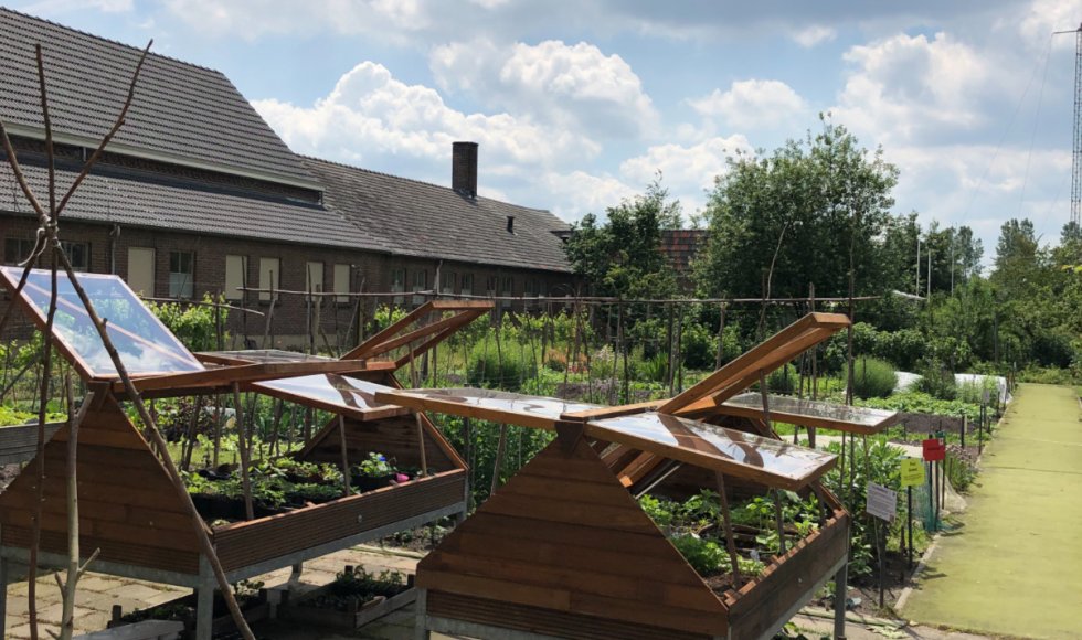 Ontmoetingstuin Servaes