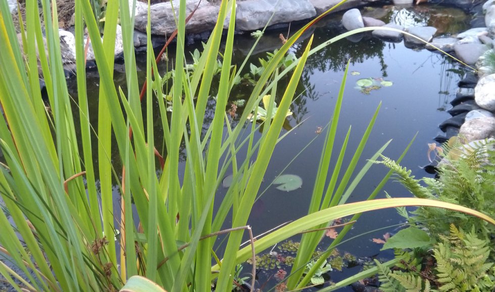 Edelsmid met Groene Vingers