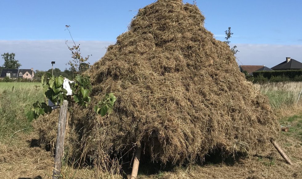 Permacultuur en voedselbos in Baasrode