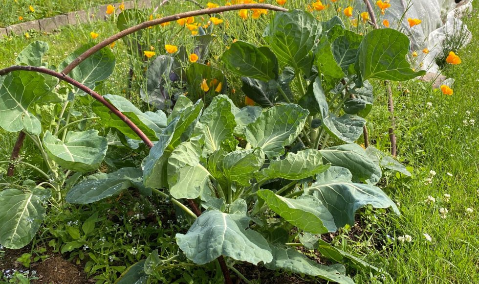Natuurtuinen Jekerdal