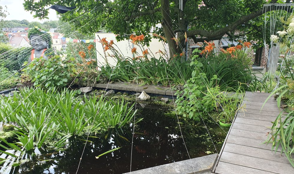 Alsemberg Ecotuin Villa Panorama 2