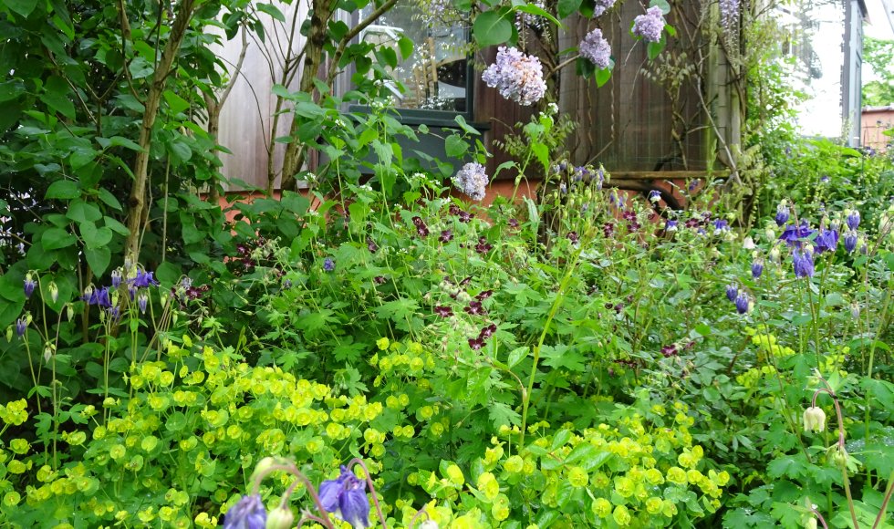 Alsemberg Ecotuin Villa Panorama 4