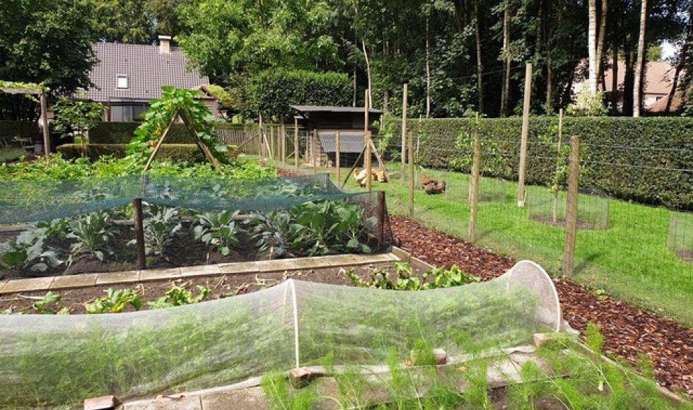 Aalter Barts Biotoop 13