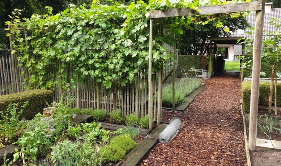 Aalter Barts Biotoop 14