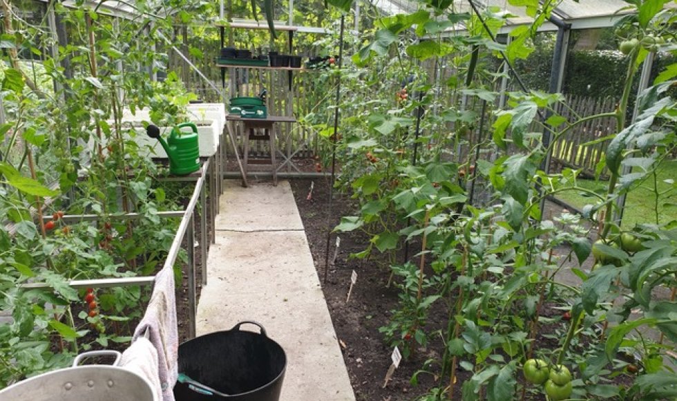 Aalter Barts Biotoop 15