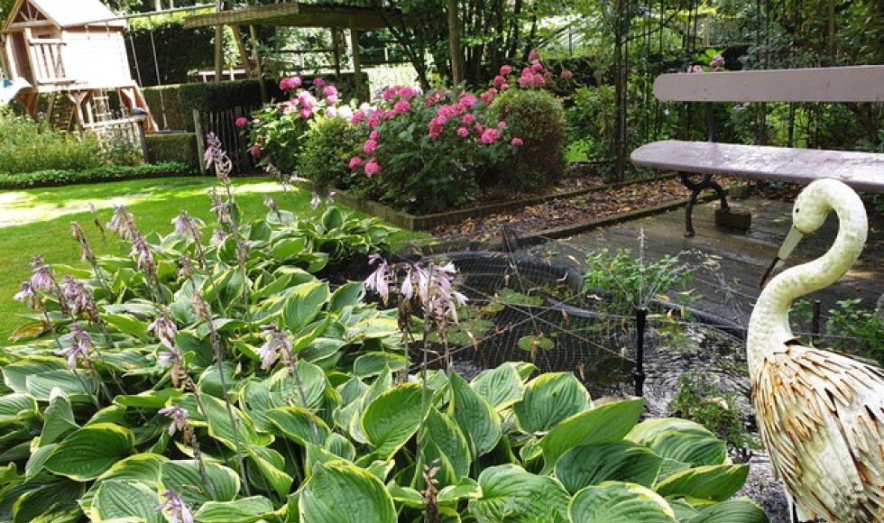 Aalter Barts Biotoop 16