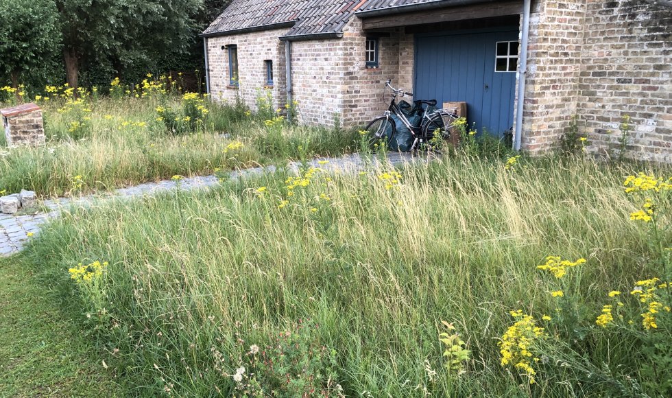 Brugge Alex’ kleine hooiland-tuintje2