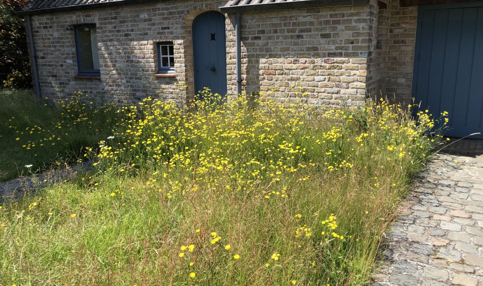 Brugge Alex’ kleine hooiland-tuintje4