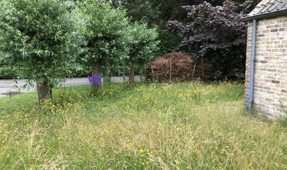 Brugge Alex’ kleine hooiland-tuintje5