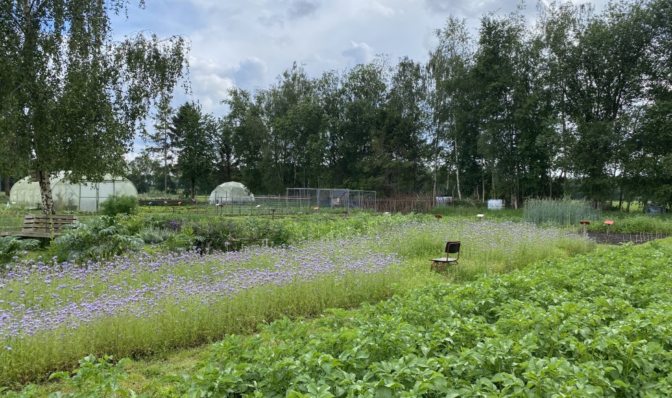 Annen Tuin voor Zwaantje 3