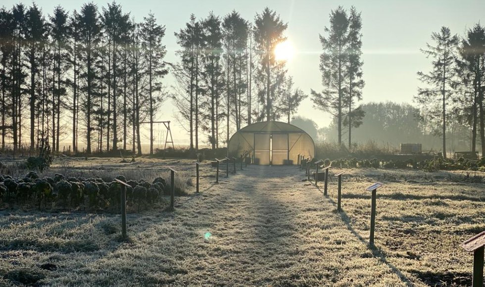 Annen Tuin voor Zwaantje 4