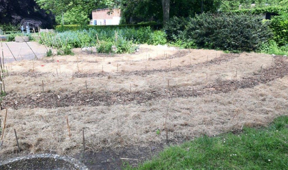 Antwerpen Hofje Lozana 2