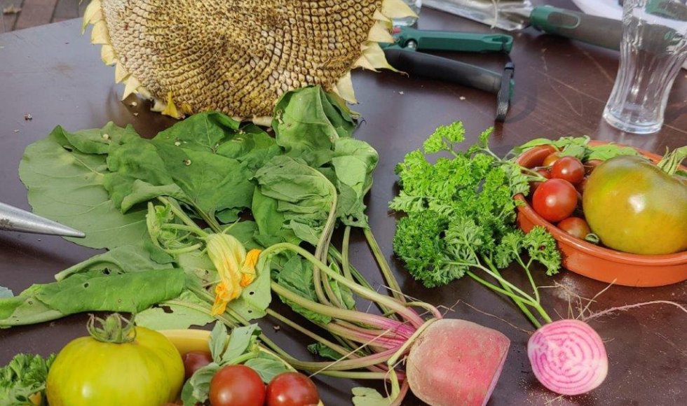 Antwerpen Hofje Lozana 3