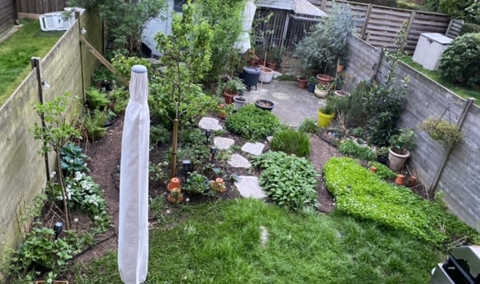 Antwerpen Petit Pearle 1