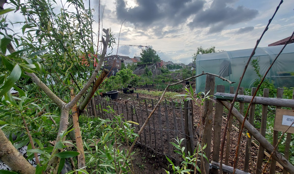 Antwerpen_Samentuin Damhof