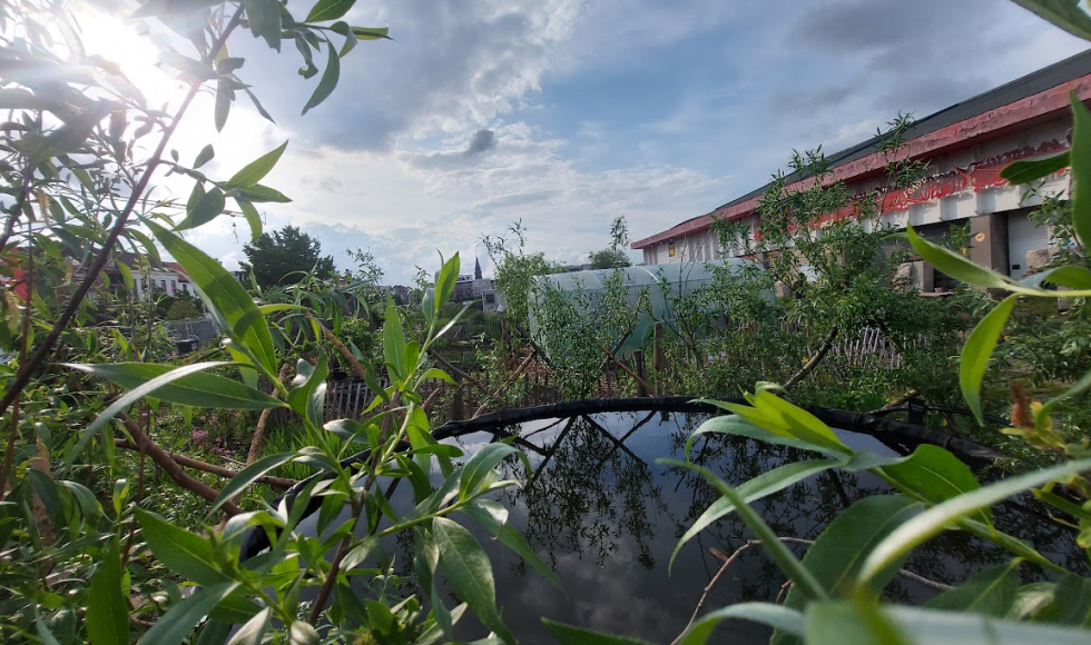 Antwerpen_Samentuin Damhof