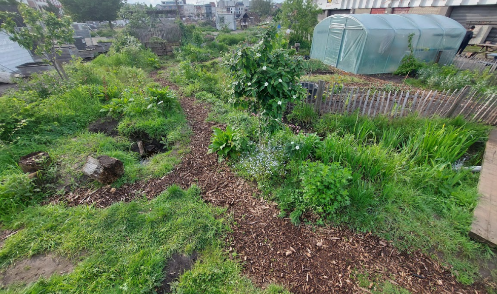 Antwerpen_Samentuin Damhof