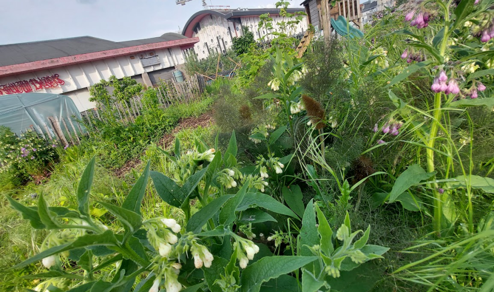 Antwerpen_Samentuin Damhof