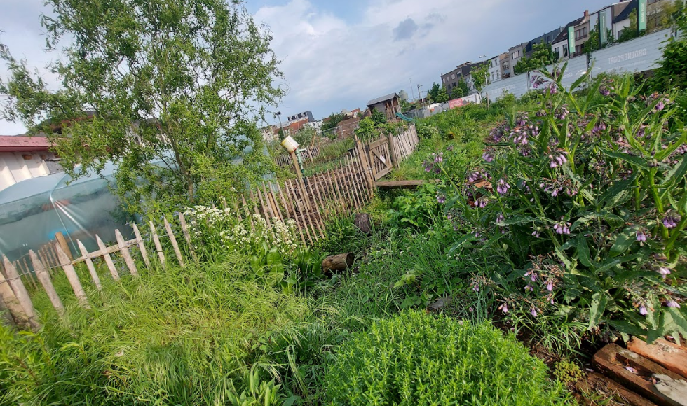 Antwerpen_Samentuin Damhof