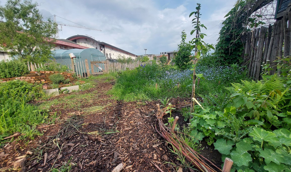 Antwerpen_Samentuin Damhof