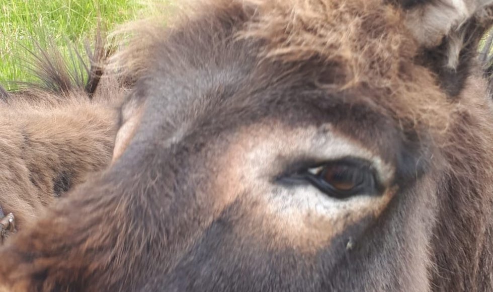 Arendonk Plukweide De Wouwershoeve Talander 2