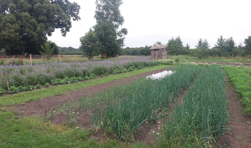 Arendonk Plukweide De Wouwershoeve Talander 3