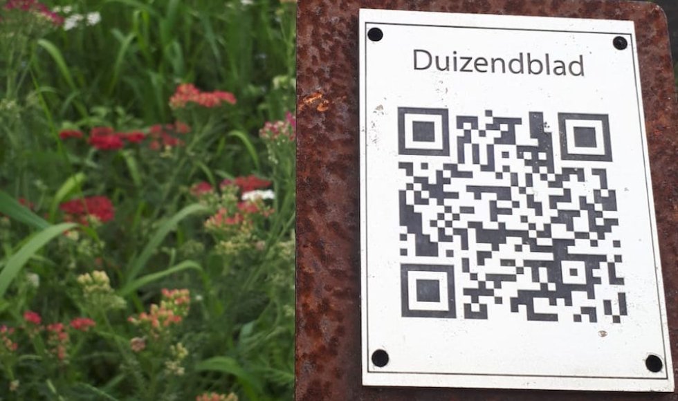 Arendonk Plukweide De Wouwershoeve Talander