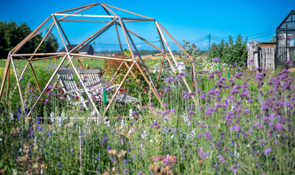 Assenede Bloemenpluktuin Plukpolder 1