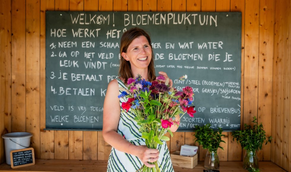 Assenede Bloemenpluktuin Plukpolder 4