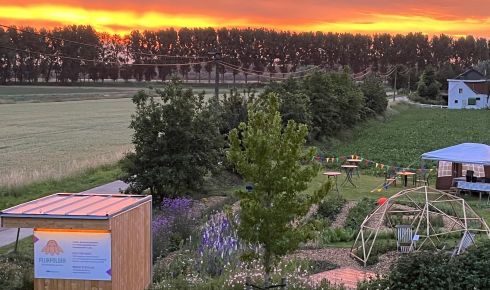 Assenede bloemenpluktuin plakpolder 6